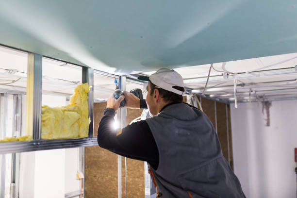 Best Blown-in Insulation in Louisville, NE